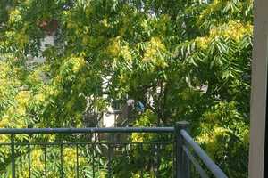 Helle und ruhige 3 -Raum-Wohnung im 4. OG mit Balkon und Aufzug in Leipzig – Ludwigstr. 101, 4315 Leipzig – Vorschaubild 16