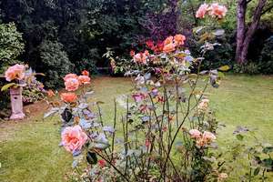 Property thumbnail 14