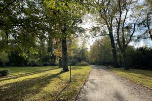 Bezugsfrei & saniert: Helle 1 Zimmer-Wohnung, großem West-Balkon, Am Gemeindepark – Am Gemeindepark 42, 12249 Lankwitz, Berlin – Vorschaubild 12