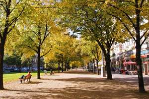 Property thumbnail 4