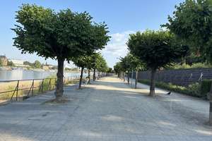 RHEINZAUBER Beuel !!
Hochwertige 3-Zimmer-WHG !
Ideal für Best-Ager !
Nur 150 m vom Rhein entfern – Die vollständige Adresse der Immobilie erhältst du vom Anbieter., 53225 Beuel-Mitte, Bonn – Vorschaubild 10