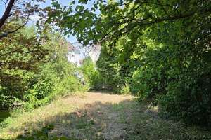 Freistehendes Einfamilienhaus mit großem  Grundstück und Entwicklungspotential – 67067 Rheingönheim, Ludwigshafen am Rhein – Vorschaubild 12