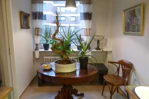 Provisionsfrei- Modernisierte 4-Zimmer Wohnung im Volksdorfer Zentrum- TG Stellplatz und Fahrstuhl  – Volksdorf, Hamburg, 22359 Hamburg – Vorschaubild 14