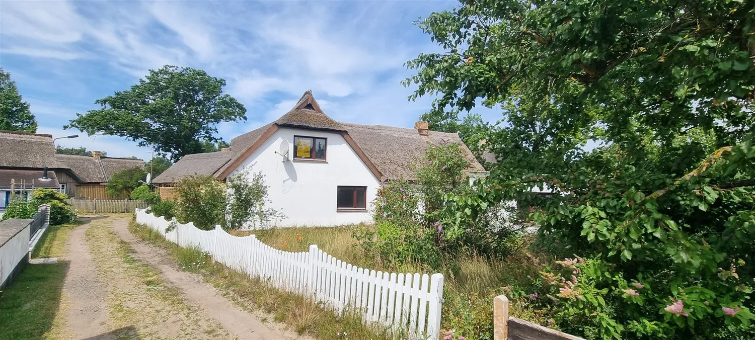 Born auf dem Darß - Reetdachhaus und Ferienhaus in ruhiger verträumter Ortslage, Vorpommern Rügen Kreis – Bild 1