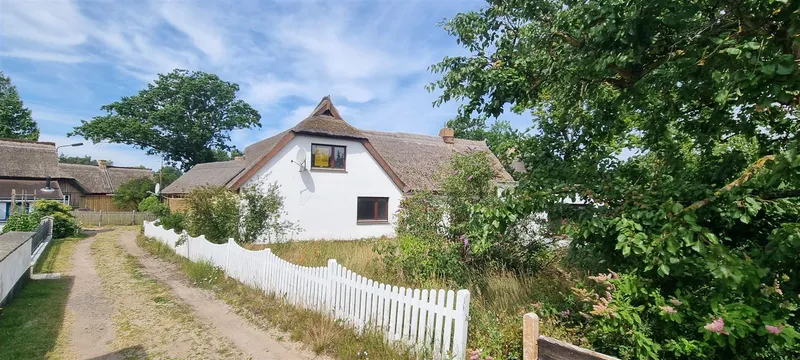 Born auf dem Darß - Reetdachhaus und Ferienhaus in ruhiger verträumter Ortslage, Vorpommern Rügen Kreis – Bild 3