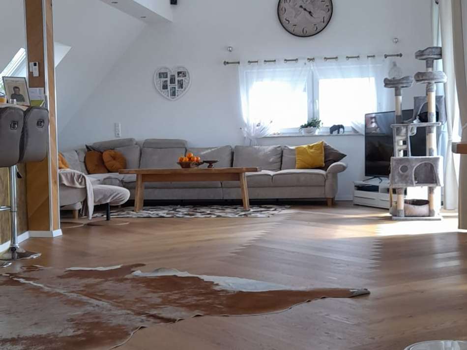 WhatsApp Image 2026-02-13 at 1