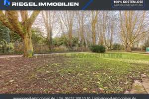 Sie hier? Wir auch! Wohnidyll direkt am Herzogenriedpark: Bungalow mit Wintergarten & 2 Bädern & TG. – Die vollständige Adresse der Immobilie erhältst du vom Anbieter., 68169 Neckarstadt-Ost/Wohlgelegen, Mannheim – Vorschaubild 4