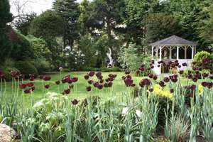 Property thumbnail 22