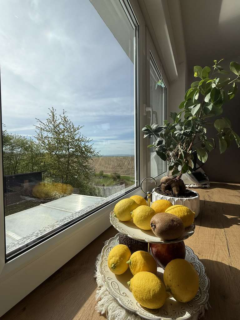 Immobilie in Kölleda - Außergewöhnliche Doppelhaushälfte mit Fernblick und Gartenidylle - Bild 3