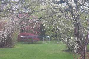 Schöner, geschützter Garten, ruhige Lage, gute Verkehrsanbindung! – Die vollständige Adresse der Immobilie erhältst du vom Anbieter., 86156 Bärenkeller, Augsburg – Vorschaubild 11