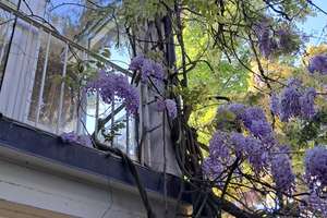 Ausblick gesucht? Ihr Zuhause in Hanglage! ...mit großem Garten, Terrassen, Wintergarten, Balkon... – Die vollständige Adresse der Immobilie erhältst du vom Anbieter., 70192 Relenberg, Stuttgart – Vorschaubild 12