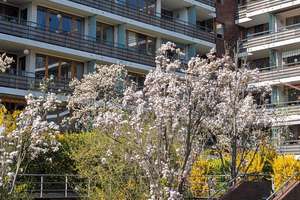 3 Zimmer Wohnung mit 2 Balkonen im 4. OG an der Rummelsburger Bucht mit Tiefgaragenplatz – Hauptstraße 5/o, 10317 Rummelsburg, Berlin – Vorschaubild 38