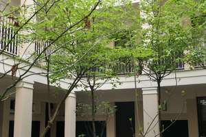 Ab sofort! Stilvolle komplett möblierte Wohnung im Diplomatenviertel – Von-der-Heydt-Str. 1, 10785 Tiergarten, Berlin – Vorschaubild 20