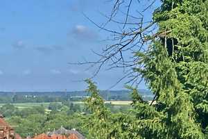 Besser geht nicht - Lage, Aussicht, Möglichkeiten – Rhein-Neckar-Kreis – Vorschaubild 8