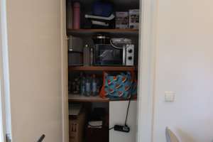 Blick auf den Luisenpark: Großzügige 5-Zimmer-Wohnetage mit Aufzug in Mannheim-Oststadt – Renzstraße 7, 68161 Schwetzingerstadt/Oststadt, Mannheim – Vorschaubild 56