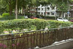 Frisch renovierte 3-Zimmer Wohnung – Dobbelersweg 50, 20537 Hamm, Hamburg – Vorschaubild 9