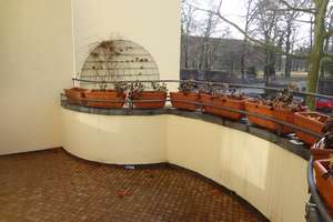 Zuhause mit 4 Zimmern und viel Platz in Lichterfelde – Finckensteinallee 84, 12205 Lichterfelde, Berlin – Vorschaubild 7