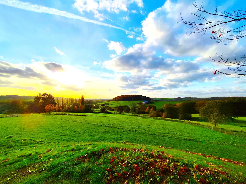Ihr Familien-Zuhause im Grüngürtel !
