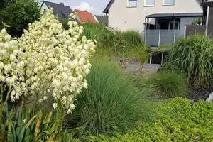 375000 € - 145 m² - 6.0 Zi. – Salzgitter – Vorschaubild 5