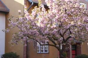 Wohnen im Unesco Welterbe 