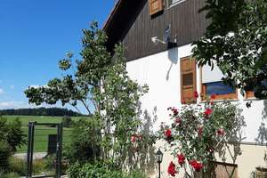 Großzügiges 7-Zimmer Haus mit Doppel-Garage u. Stellplätzen – Die vollständige Adresse der Immobilie erhältst du vom Anbieter., 78733 Aichhalden – Vorschaubild 6
