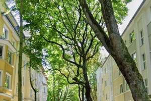 Helle, ruhige 92 qm Altbauwohnung auf 2 Ebenen am Ostpark mit Balkon | Top-Energieklasse B  – Calvinstraße 32 32, 44143 Kaiserbrunnen, Dortmund – Vorschaubild 9