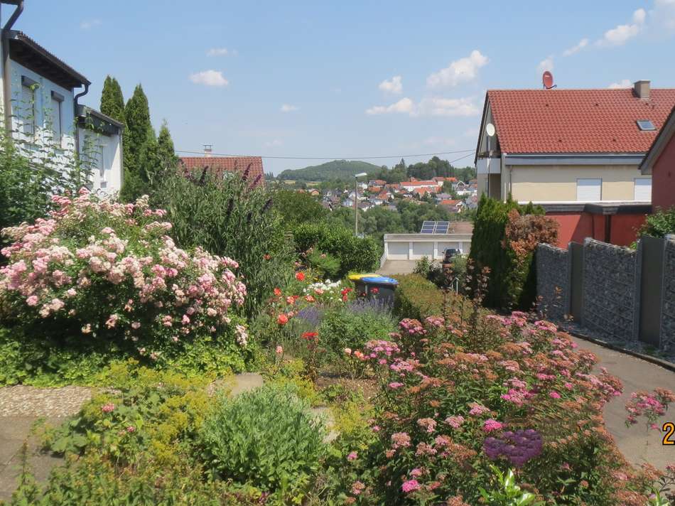 Vorgarten Umgebung