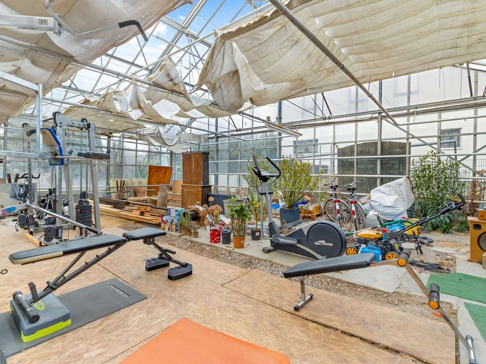 Gewächshaus - weitere Ansicht