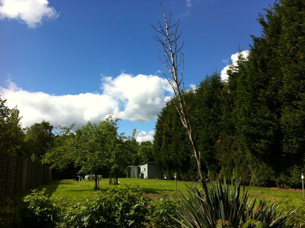 Immobilie in Waltrop - Eigentumswohnung (HP)  mit Garten u. Balkon - Bild 4