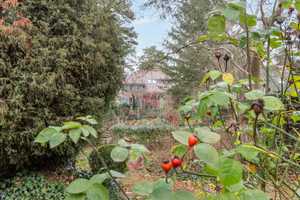 Bungalow auf großem Grundstück in Konradshöhe – Berlin – Vorschaubild 4