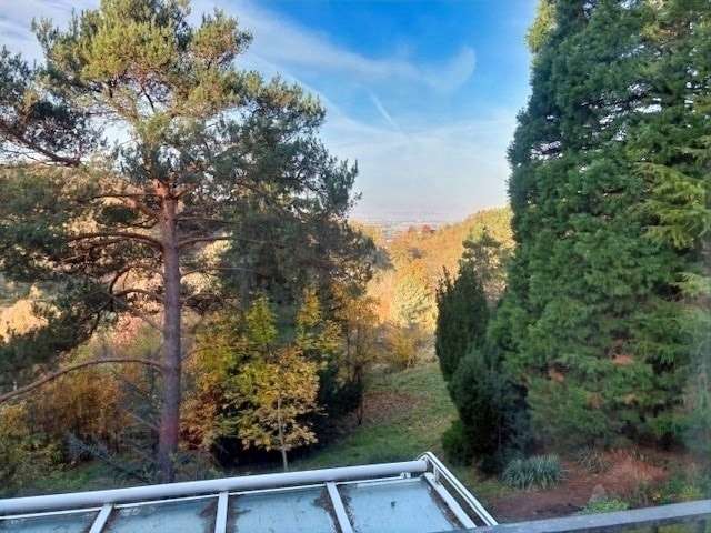 Ruhige Ortsrandlage mit Aussicht ins Grüne, Koblenz – Bild 4