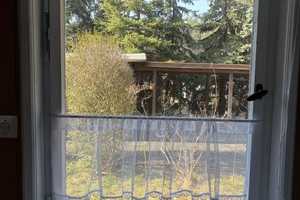 Sommerhaus am See - 60 Minuten von Berlin – Teltow-Fläming (Kreis) – Vorschaubild 29