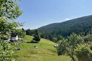 Großes Haus mit Potenzial zum Fertigstellen im Schwarzwald – Die vollständige Adresse der Immobilie erhältst du vom Anbieter., 76596 Forbach – Vorschaubild 2