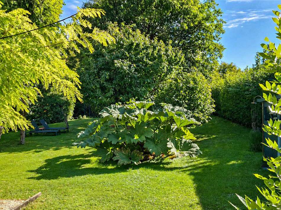 Garten-Sommer