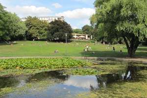Topp-Lage Weinbergspark: 3 Zi.-Whg. m. 2 Terrassen, toll ausgestattet! – Veteranenstraße 20, 10119 Mitte (Ortsteil), Berlin – Vorschaubild 24