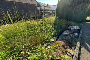 +++ Einfamilienhaus mit Sandstein-Flair, sonnigem Garten und Stellplatz in bevorzugter, ruhiger S... – Südwestpfalz (Kreis) – Vorschaubild 25