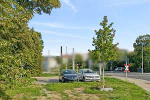 Solides Mehrfamilienhaus mit Potenzial im Jenaer Norden – Die vollständige Adresse der Immobilie erhältst du vom Anbieter., 7743 Jena-Nord, Jena – Vorschaubild 22