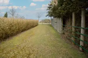 Großes Anwesen mit EFH, Bungalow und Nebengelass mit vielen Möglichkeiten in Putgarten – Rügen (Kreis) – Vorschaubild 6