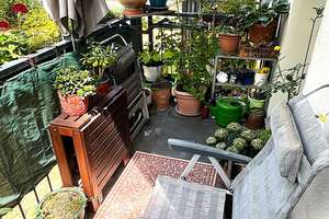 Property thumbnail 12