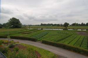 Property thumbnail 15