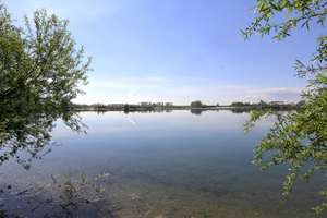 Abschalten. Durchatmen. Ankommen. – Ihr Rückzugsdomizil am Eicher See! – Eicher See, Eichenweg 1, 67575 Eich – Vorschaubild 29