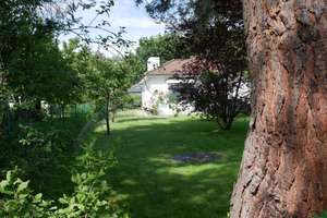 Freundlicher 5-Zimmer-Bungalow in Zehlendorf, Berlin. Sommer im eigenen großen Garten – Klistostraße 10, 14165 Zehlendorf, Berlin – Vorschaubild 15
