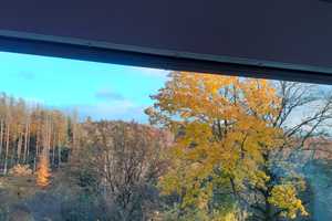 Hoch-Sauerland 3-Zimmer Architecten Bungalow mit gehobener Innenausstattung in  Bromskirchen – Waldeck-Frankenberg (Kreis) – Vorschaubild 4