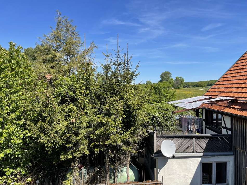 Ausblick