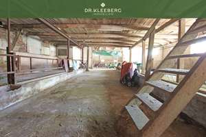Dorfprägender Resthof mit Charme und großem Entwicklungspotenzial im Herzen von Gimbte – Die vollständige Adresse der Immobilie erhältst du vom Anbieter., 48268 Greven – Vorschaubild 5