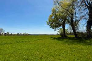 ehemaliges landwirtschaftliches Anwesen - Charmantes Wohnhaus mit Nebengebäude – Die vollständige Adresse der Immobilie erhältst du vom Anbieter., 89407 Dillingen an der Donau – Vorschaubild 6