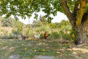 Landlebst du schon? – Potsdam-Mittelmark (Kreis) – Vorschaubild 4