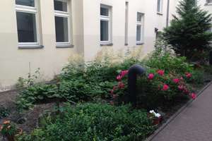 Vermietete Wohnung am Helmholtzplatz zum Verkauf – Die vollständige Adresse der Immobilie erhältst du vom Anbieter., 10437 Prenzlauer Berg, Berlin – Vorschaubild 4