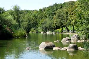 Gemütliche Gartenwohnung zur Miete – Ihre Oase am Westpark in München! – Die vollständige Adresse der Immobilie erhältst du vom Anbieter., 81373 Mittersendling, München – Vorschaubild 13