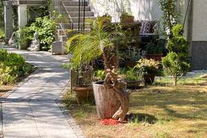 Property thumbnail 17